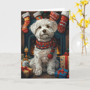 Coton De Tulear-hond met kerstcadeaus bij de open Kaart