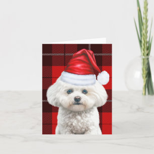 Coton de Tulear Hond Rood Vakantie Geplaagd Kerstm Feestdagen Kaart