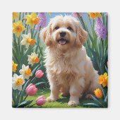 Coton De Tulear Hond Spring Bloemen Schilderen Magneet (Voorkant)