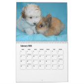 Coton de Tulear hondenkalender Kalender (Feb 2026)