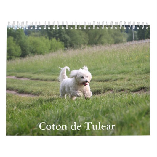 Coton de Tulear hondenkalender Kalender (Hoes)