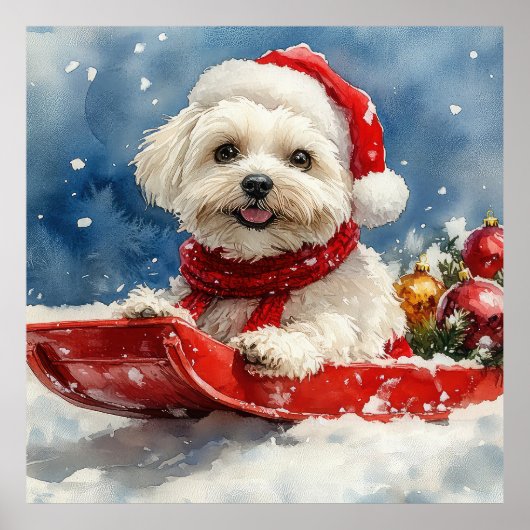 Coton De Tulear in Sledge Laat het Sneeuw Kerstmis Poster (Voorkant)