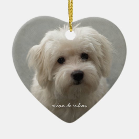 Coton de Tulear Keramisch Ornament (Voorkant)