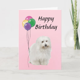 Coton De Tulear met ballonnen Happy Birthday Kaart
