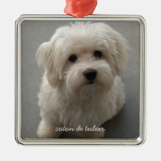 Coton de Tulear Metalen Ornament