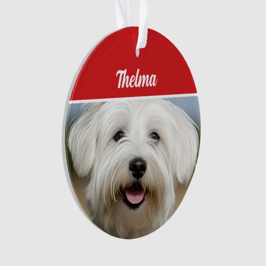 Coton de Tulear Nom Photo Fête Noël (devant)