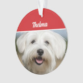 Coton de Tulear Nom Photo Fête Noël (devant)