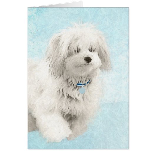 Coton de Tulear Painting - Cute Original Dog Art (Voorkant)