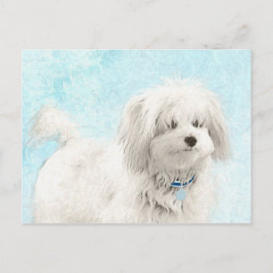 Coton de Tulear Painting - Cute Original Dog Art Briefkaart