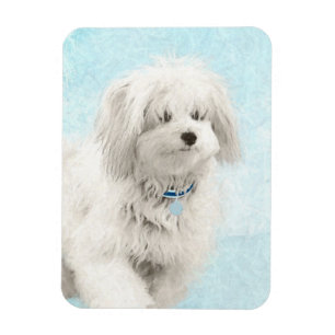Coton de Tulear Painting - Cute Original Dog Art Magneet