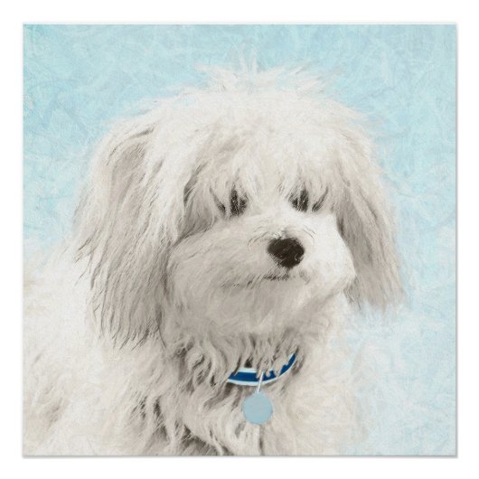 Coton de Tulear Painting - Cute Original Dog Art Perfect Poster (Voorkant)