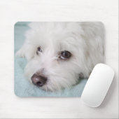 Coton de Tulear Puppy Eyes Muismat (Met muis)