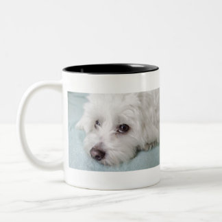 Coton de Tulear Puppy Eyes Tweekleurige Koffiemok