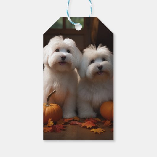 Coton De Tulear Puppy Herfst Delight Pompoen Cadeaulabel (Achterkant)