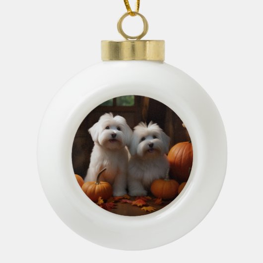 Coton De Tulear Puppy Herfst Delight Pompoen Keramische Bal Ornament (Voorkant)