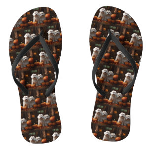 Coton De Tulear Puppy Herfst Plezier Pompoen Teenslippers