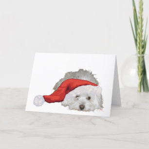 Coton de Tulear - Wachten Feestdagen Kaart