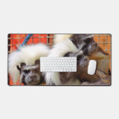 COTON - TOP TAMARIN SINGES (Clavier et souris)