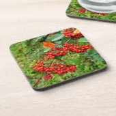 Cotoneaster lacteus bier onderzetter (Linkerzijde)