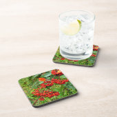 Cotoneaster lacteus bier onderzetter (Rechterzijde)