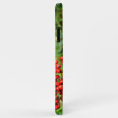 Cotoneaster lacteus Case-Mate iPhone case (Achterkant/rechts)