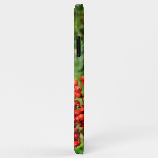 Cotoneaster lacteus Case-Mate iPhone case (Achterkant/rechts)