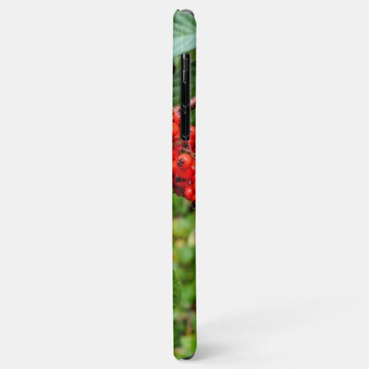 Cotoneaster lacteus Case-Mate iPhone case (Achterkant/links)