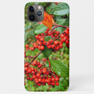 Cotoneaster lacteus iPhone 11 pro max hoesje