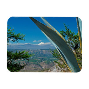 Cotopaxi vulcano, Ecuador Magneet