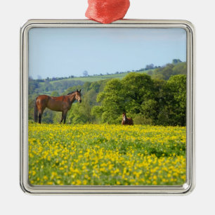 Cotswolds, Verenigd Koninkrijk Metalen Ornament