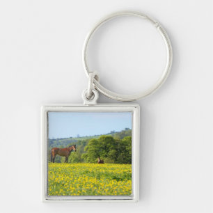Cotswolds, Verenigd Koninkrijk Sleutelhanger