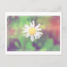 Cottage Daisy Postcrossover Briefkaart