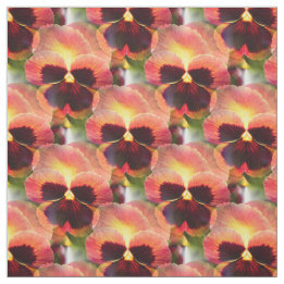 Cottage Garden Firefly Pansy - 4 inch Stof