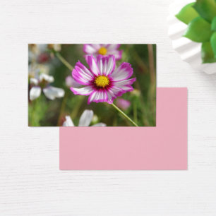 Cottage jardin, Rosalinde
