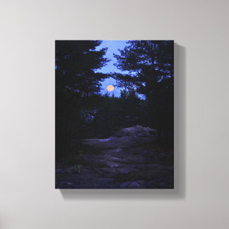 Cottage land moonrise in de bossen canvas afdruk