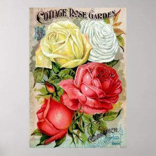 Cottage Roos Garden Advertisemen Poster