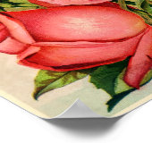 Cottage Roos Garden Drobisch Advertisement Poster (Hoek)