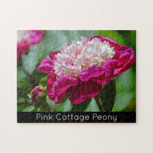 Cottage rose Peony Garden Puzzle de fleurs