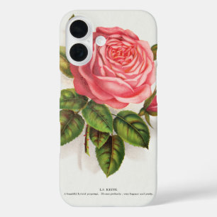 Cottagecore Antieke Roze Roos Bloem Illustratie iPhone 16 Hoesje