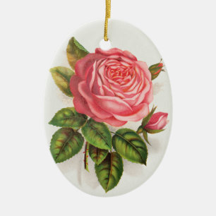 Cottagecore Antieke Roze Roos Bloem Illustratie Keramisch Ornament
