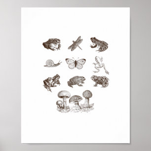 Cottagecore Esthetiek Paddenstoel Academië Kikker Poster