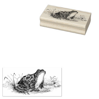 Cottagecore Vintage Frog Tampon en caoutchouc