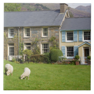 Cottages, Beddgelert, Gwynedd, Wales Tegeltje