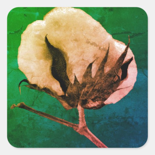 Cotton Boll Sticker (Voorkant)