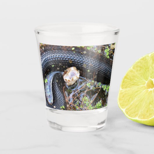 Cottonmouth Snake Shot Glass Shot Glas (Voorkant)