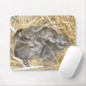 Cottontail Bunnies Muismat (Met muis)