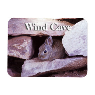 Cottontail Konijn in Rotsen Wind Cave NP Magneet