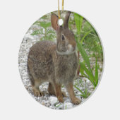 Cottontail Rabbit Keramisch Ornament (Links)