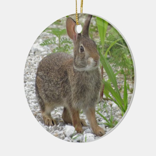 Cottontail Rabbit Keramisch Ornament (Links)