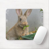 Cottontail Rabbit Muismat (Met muis)